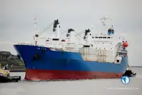 冷凍船 販売中