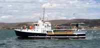 Purse seiner 販売のため