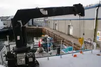 カタマラン 販売中