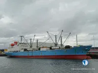 冷凍船 販売中