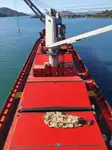 ばら積み貨物船 販売中