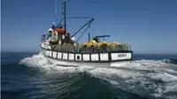Trawler 販売のため