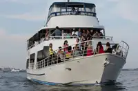 旅客船 販売中