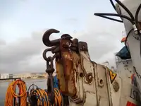 作業船 販売中