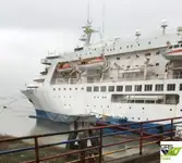 クルーズ船 販売中