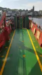 Ro-Ro船 販売中