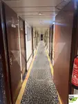 クルーズ船 販売中