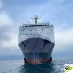 Ro-Ro船 販売中