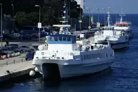 カタマラン 販売のため