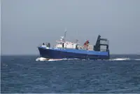 Purse seiner 販売のため