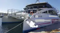 客船 販売のため