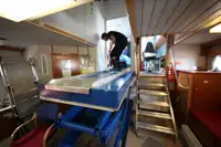 フェリー 販売中