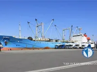 冷凍船 販売のため