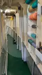生きた魚輸送船 販売中