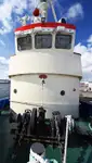 トウボート 販売のため