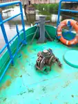 作業船 販売中