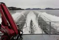 作業船 販売中