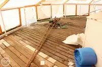 フェリー 販売中