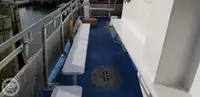 カタマラン 販売中
