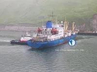 冷凍船 販売中