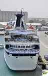 クルーズ船 販売中