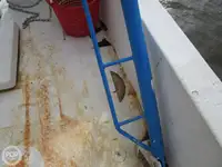 トロール漁船 販売中
