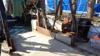 トロール漁船 販売中