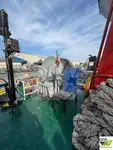 曳船 販売中