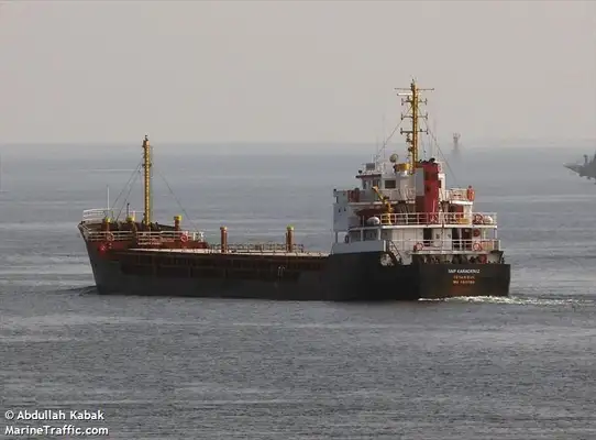 Bulk carrier for sale