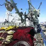 Purse seiner 販売のため