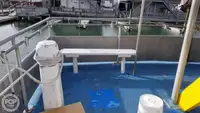 カタマラン 販売中