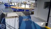 カタマラン 販売中