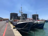 Longliner 販売のため