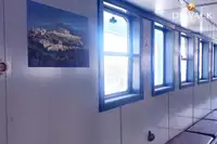 フェリー 販売中