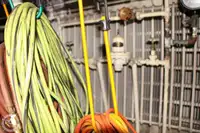 フェリー 販売中