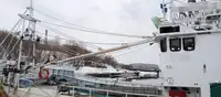 トロール漁船 販売中