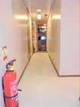 冷凍船 販売中