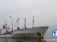 冷凍船 販売中