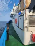 曳船 販売中