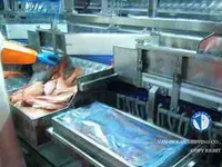 トロール漁船 販売中