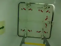 ばら積み貨物船 販売中