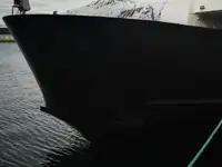 Ro-Ro船 販売中