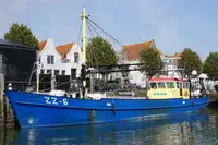 Trawler 販売のため