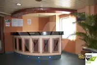 Ro-Ro ship 販売のため
