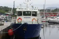 曳船 販売中
