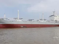 冷凍船 販売中