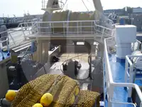 生きた魚輸送船 販売中
