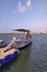 フェリー 販売中