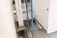 フェリー 販売中