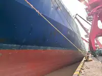 冷凍船 販売中